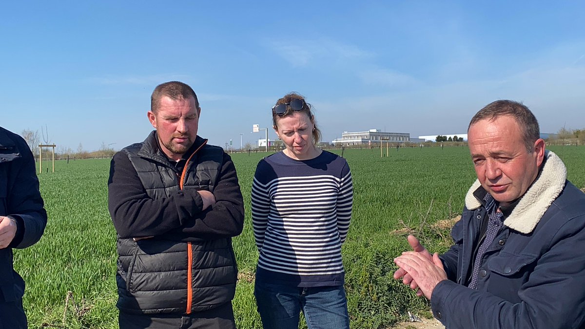 La communauté urbaine d’Arras présente son premier projet d’agroforesterie: des arbres forestiers et des arbres fruitiers ont été plantés dans un champ de blé