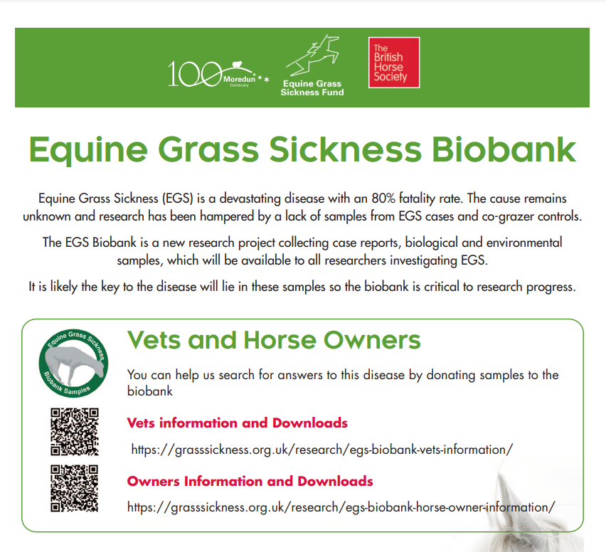 National Equine Welfare Council (NEWC) tweet media