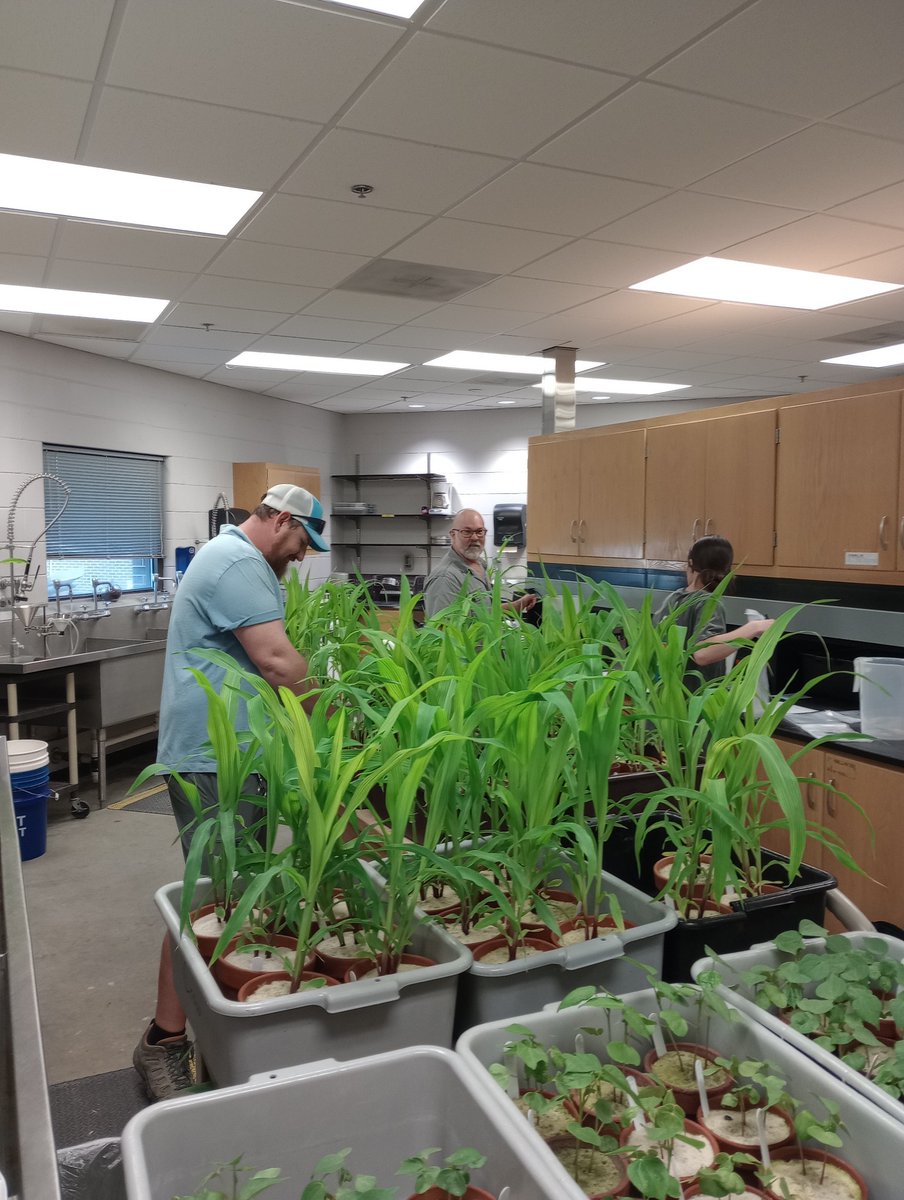 Billy Crow tweet media