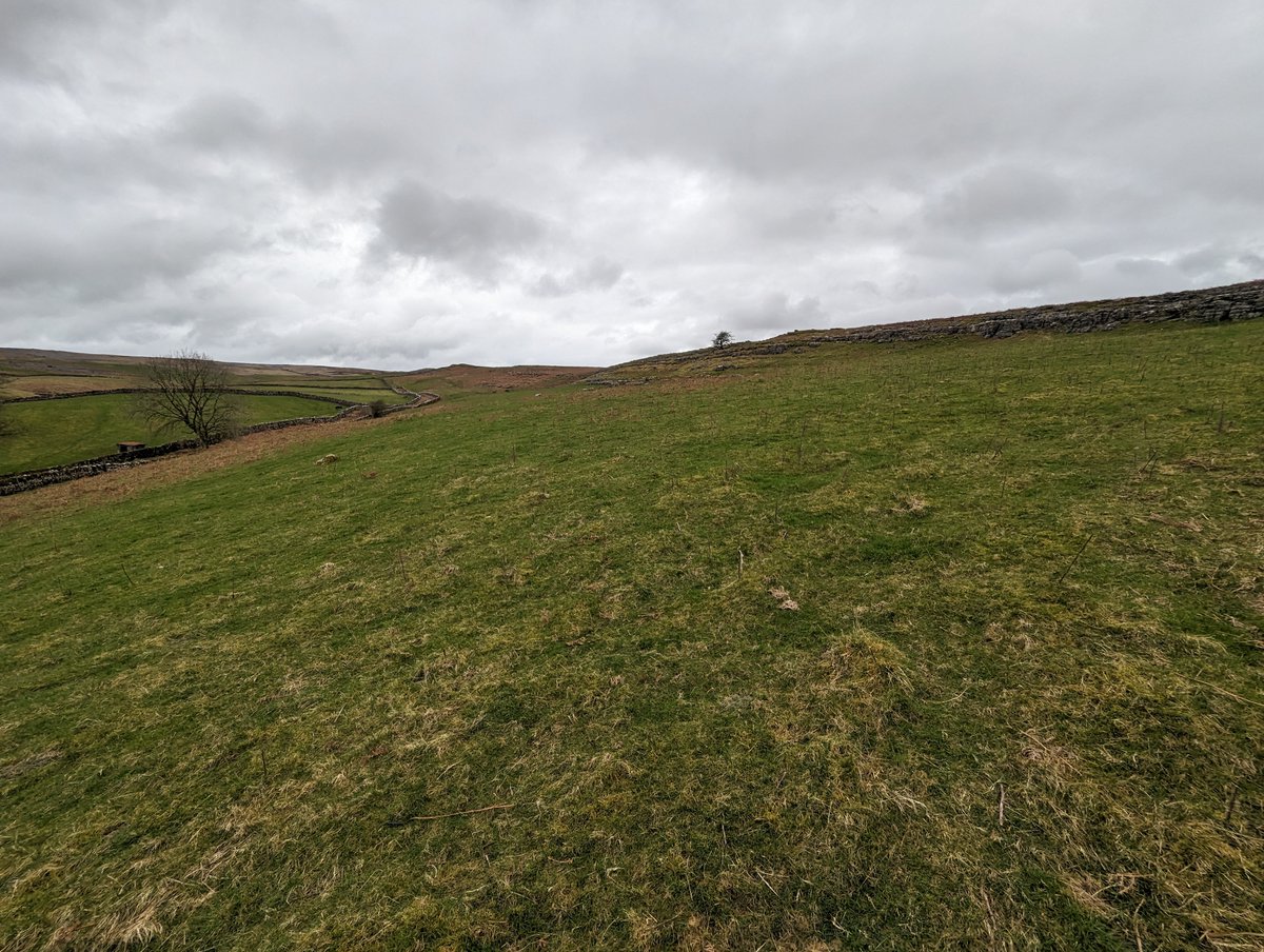 NEW: Land at Great Asby, Appleby 🌱
Lot 1: 39.49 acres | Guide Price: £175,000
bit.ly/3mcvJCo

Lot 2: 74.32 acres | Guide Price: £600,000
bit.ly/415My0D

Lot 3: 66.64 acres | Guide Price: £200,000
bit.ly/3ZLgQo2

Call us on 01228 406260 for more info.