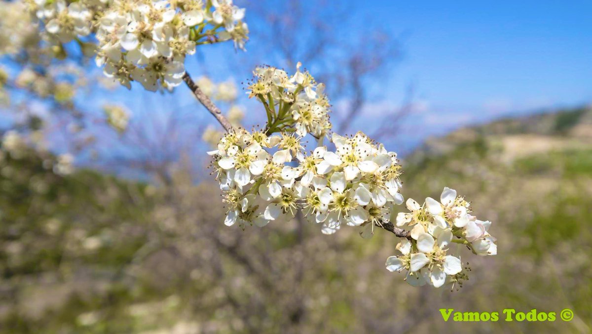 MadonnaAoun's tweet image. The Holy Week is a reminder of God's infinite mercy for us, in which we grow closer to Him in love 🤲❤️🙌
#HolyWeek2023 #HolyWednesday 
#مساء_الخيرᅠ #لبنان