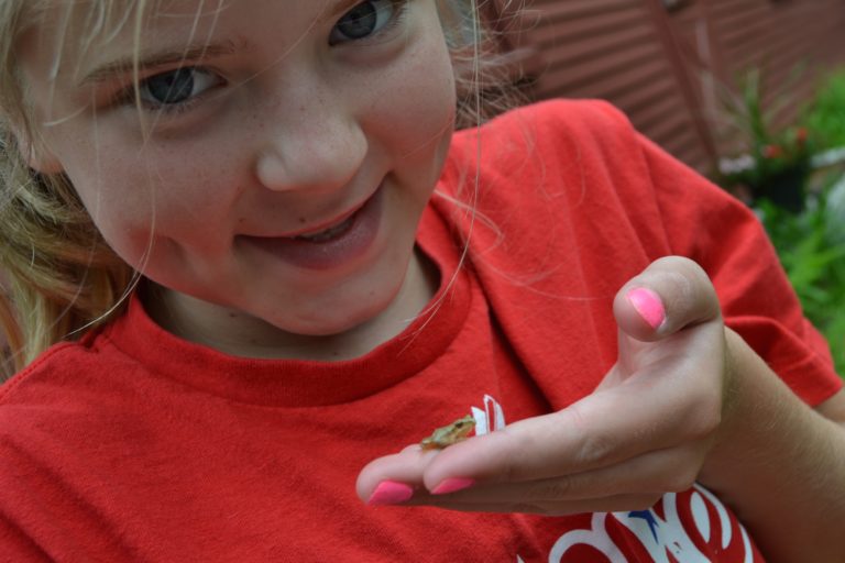 ellin_anderson's tweet image. The tiny #SpringPeeper #frog starts singing around the first week in April, close to #Easter, and bears a #cross on his back in memory of #Jesus. #GoodFriday #HolyWeek #LegendaryWednesday Nice blog tells how to get children involved in backyard nature:
soulyrested.com/2017/04/19/spr…