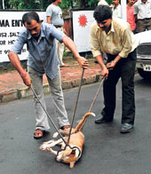 Fs9YgILXsAEKnY6?format=jpg&name=240x240