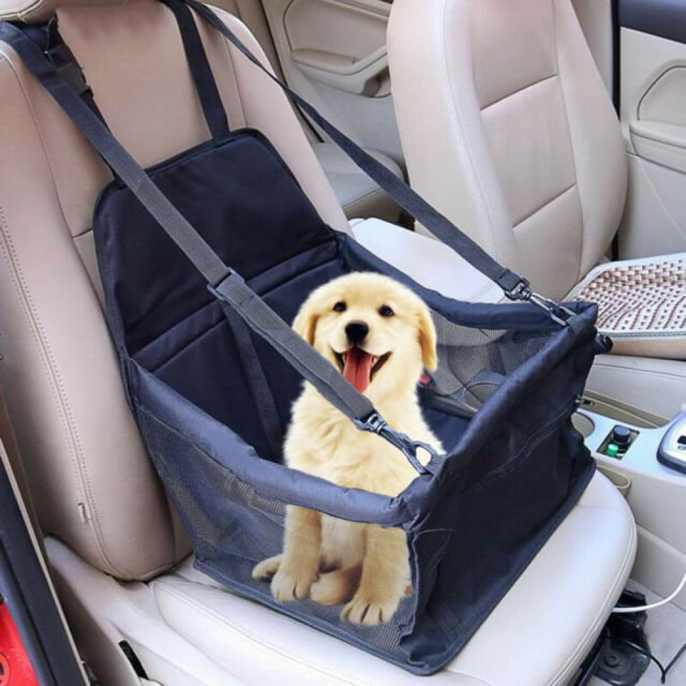 MadeForPetCom's tweet photo. 🤑Enjoy the deal and save up your money Pet Dog Safety Car Seat Carrier Bag is now selling at its lowest price 🤑 
Tag a friend who would love this!
😍 FREE worldwide shipping! 🌎 
Buy one here---> https://t.co/uygndKDGO3
#cats #catslovers #dogs #doglovers https://t.co/3s3Xlcr37e