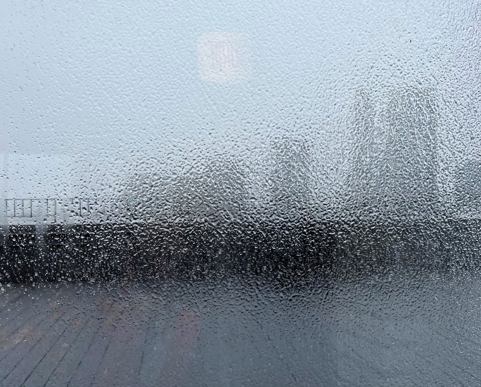 Gros verglas à Montréal depuis quelques minutes... 

À travers une fenêtre de la piscine du Colisée...

Bonne journée les amis(es) avec des crampons et une canne si vous êtes obligés de sortir...

#LAGRC #Mtl 2023-04-05  10H57
CR. PH.: David Turbis Le Grand #DTLG (avec iphone 13)