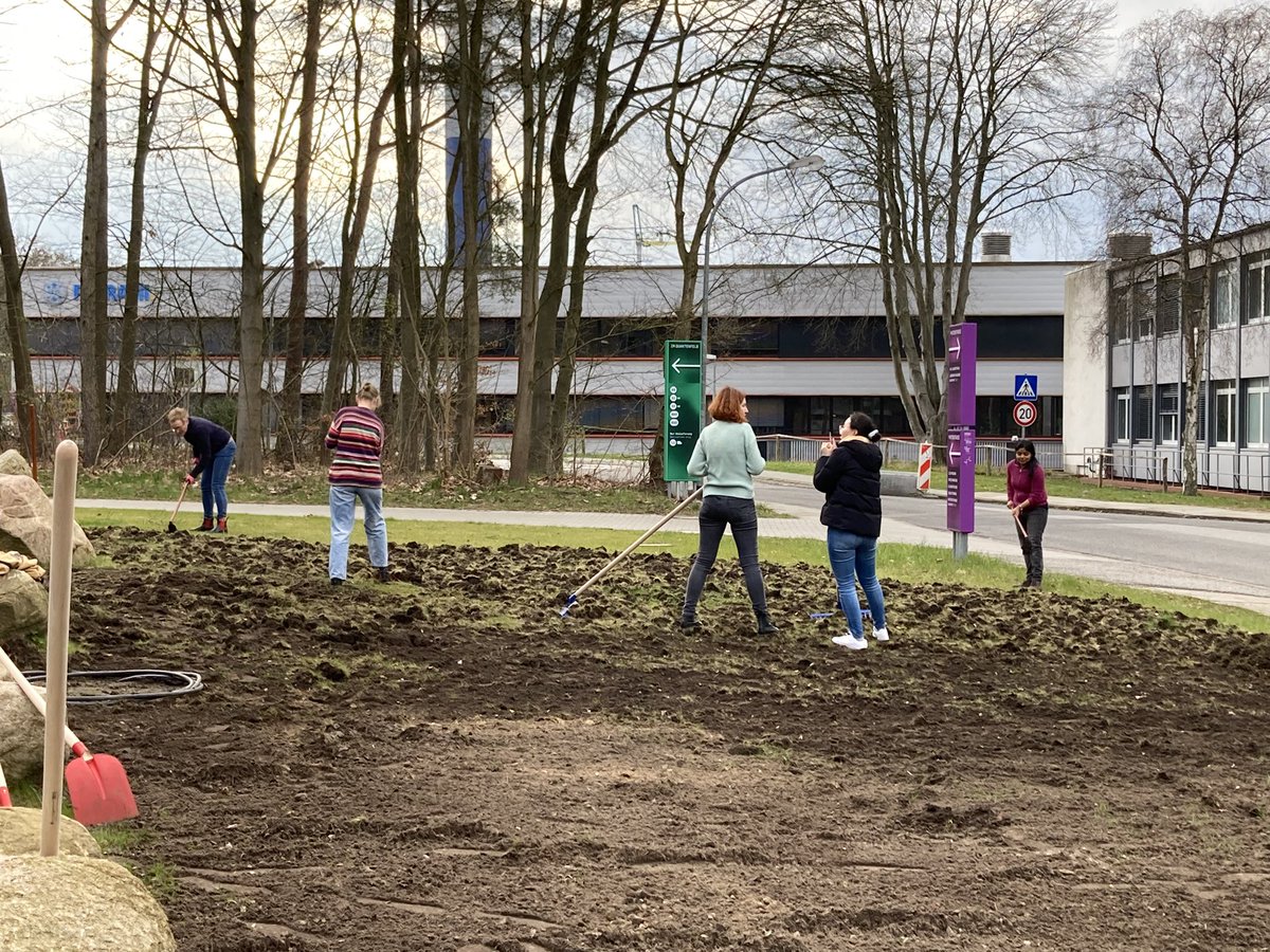 Spring has sprung and the HARBOR gardening group have started preparing the ground for our wild-flower meadow (Bienenwiese). Hopefully in a few months we will have pretty flowers and lots of bees.