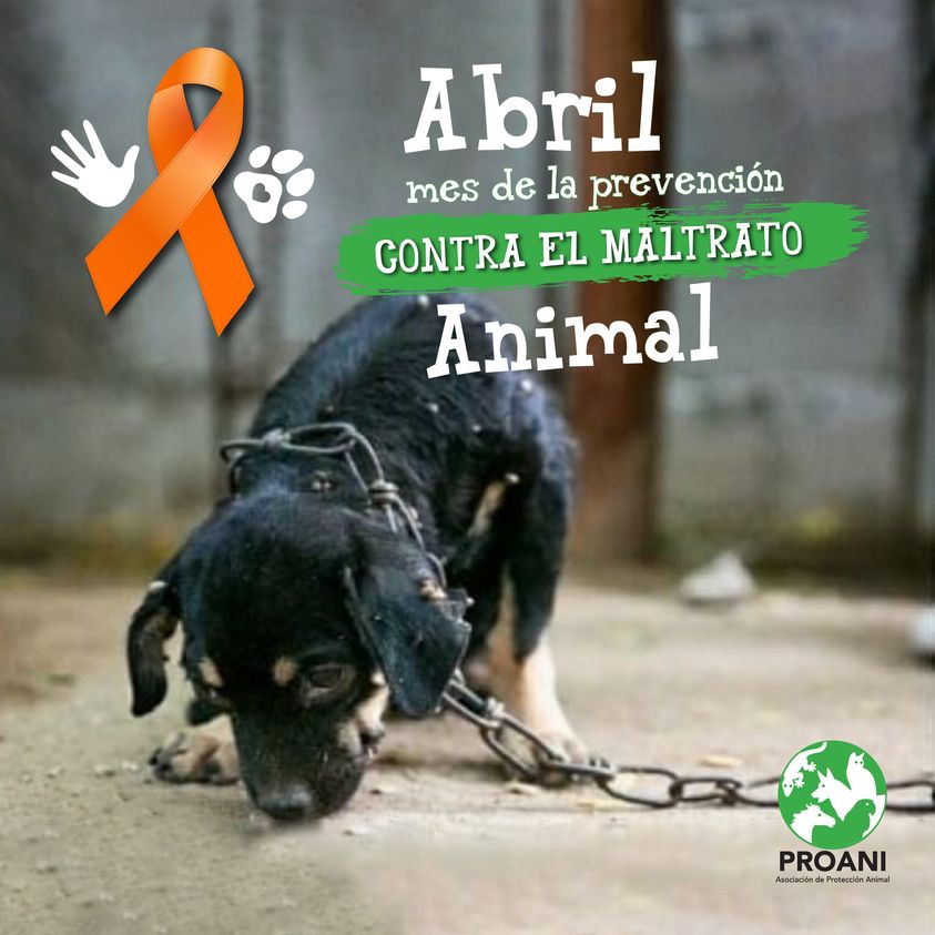ProaniHonduras's tweet photo. https://t.co/JI5ezufkGp