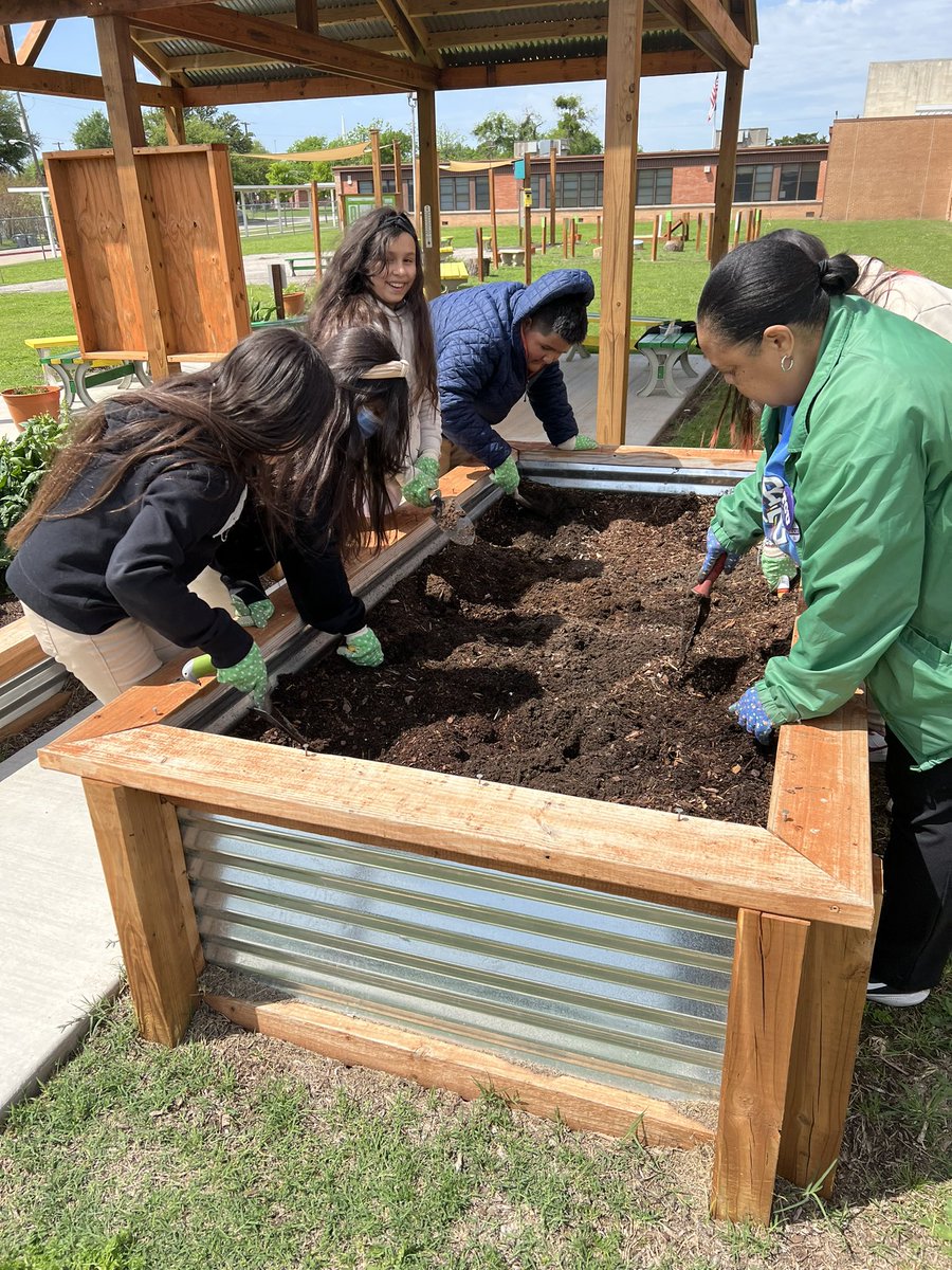 marsalis_l's tweet photo. It’s Spring planting day! AND…. check out our spinach! Pleasant surprise for our students who thought their Fall harvest work was in vain. @OutTeachEd @disdeec @TransformDISD https://t.co/vME9RKXLOF