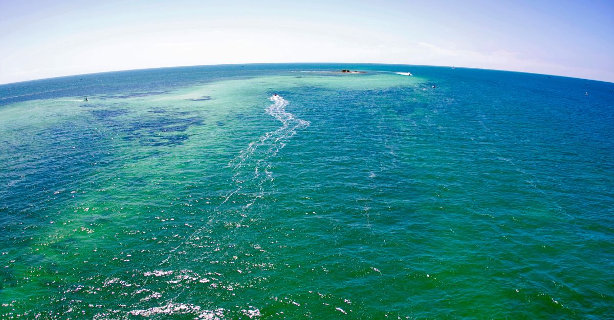 #DYK that 90% of globally traded goods are transported by sea? As the demand for shipping rises, it's our duty to create a more #sustainable industry. We're dedicated to protecting our 🌎 through digital solutions that reduce #carbonfootprint. #EarthMonth: bit.ly/3VxeXKk