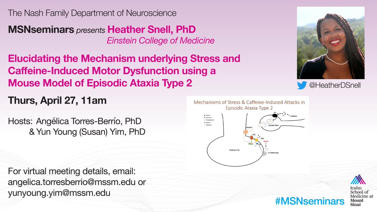Dr. Angélica Torres-Berrío 🇨🇴👩🏻‍🔬🧠🧬🚴🏻‍♀️ tweet media