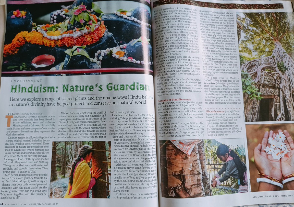 Read my article in the latest issue of Hinduism Today magazine. 
 With this article, I tried to bring all the aspects related to the plants in Hinduism into one place. 
#Hinduism #Mauritius #IndiaMauritius #SavitaTiwari

hinduismtoday.com/environment/hi…