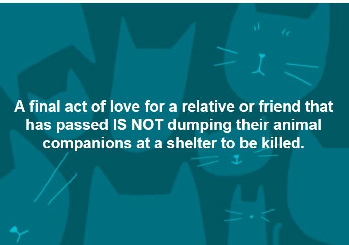 sachikoko's tweet photo. 💗🐾💗#PETSARENOTDISPOSABLE💗🐾💗
💗🐾💗#PETSAREFORLIFE💗🐾💗
💗🐾💗#PETSAREFAMILY💗🐾💗
💗🐾💗#PETSAREFOREVER💗🐾💗 https://t.co/dYKgsHOMDI