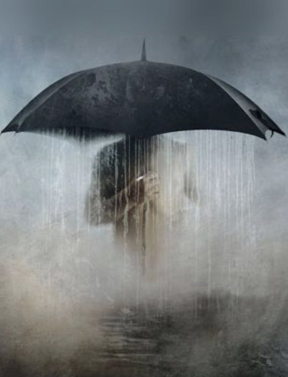 sharonePack's tweet photo. “Into each life some rain must fall.”
~Henry Wadsworth Longfellow
#Intoeachlifesomerainmustfall https://t.co/IZ3C05zlZB