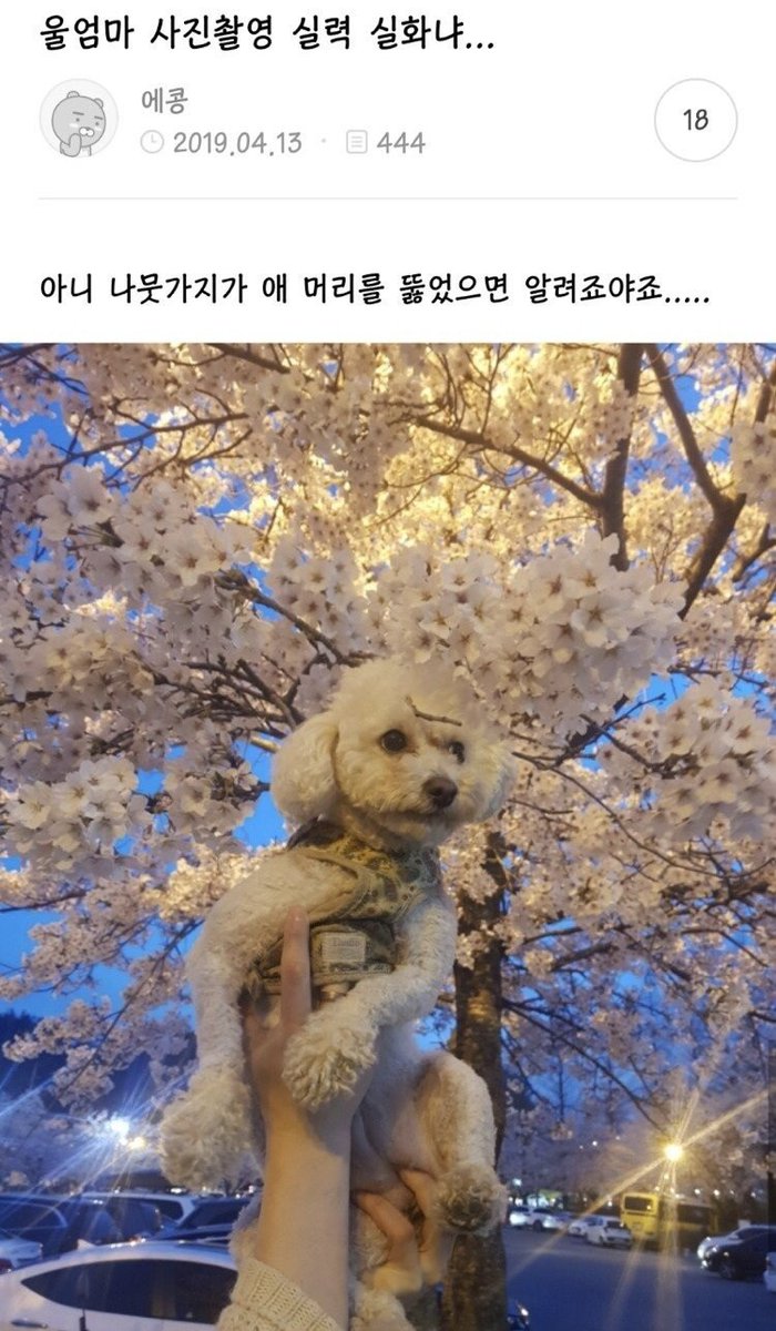 utzzal1's tweet photo. 울엄마 사진촬영 실력 실화냐 https://t.co/ntlwL2UtGH