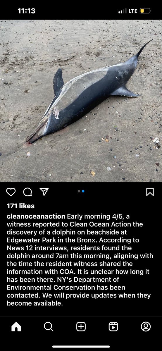 HKnocka7812's tweet photo. @GovMurphy Another one of your victims in the Bronx #NewJersey #Firemurphy #savelbi #SaveTheWhales https://t.co/sbUpeRH7ly