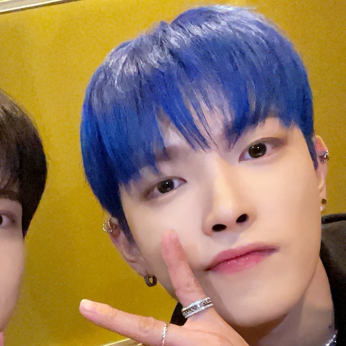 breadjoong_'s tweet image. ANJINGHGGGHHSHDHE LUCU BANGET ABNGST MANA BOLEH KUCU BEGIRU ANJSHSHHW