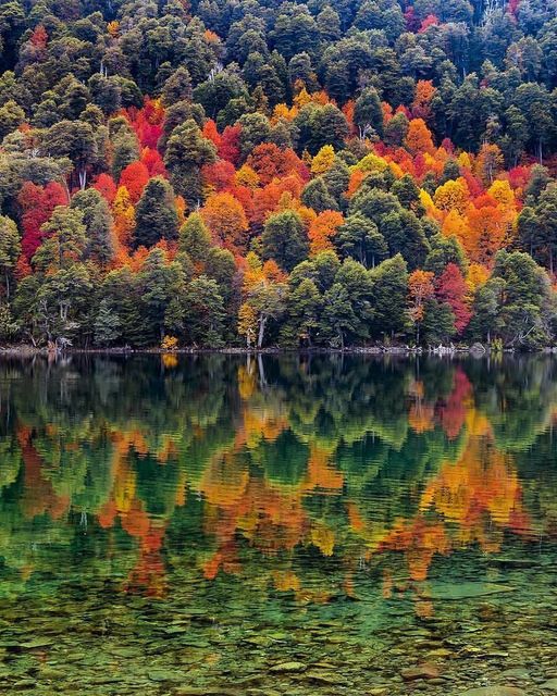 fm_dellago's tweet photo. Los colores del bosque que circunda el Lago Hermoso en la Ruta Siete Lagos entre San Martín de los Andes y Villa La Angostura.
Foto: @naturalezasur https://t.co/fei2nok1BJ