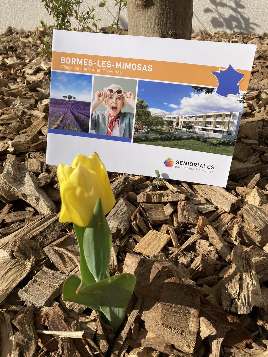 Même les tulipes ont répondu présentes et étaient au rendez vous pour l’ouverture de notre résidence à Bormes les Mimosas, pour accueillir nos résidents comme il se doit!