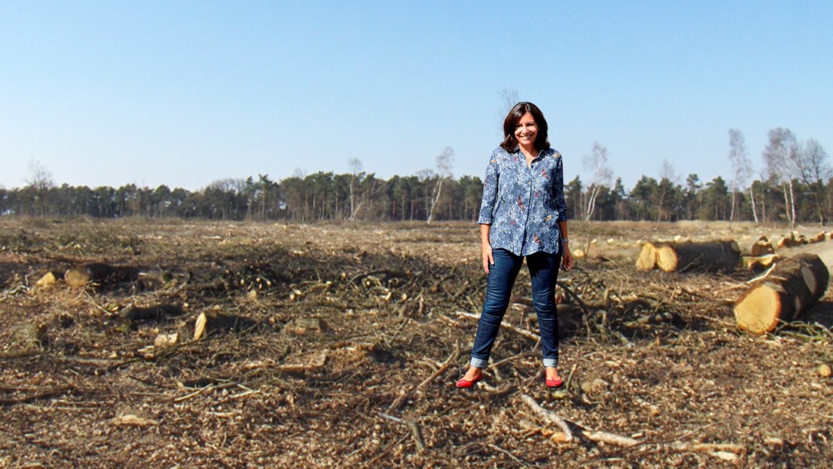 ChaRocher's tweet photo. 1/3 Quand #AnneHidalgo passe, les arbres trépassent‼️

Depuis octobre 2022, ce sont 973 arbres abattus à Paris et de nombreuses coupes rases dans le Bois de Vincennes afin de replanter derrière pour gonfler les chiffres. Les pires écolos du monde sont à gauche🤡 #saccageparis https://t.co/JAymbstxkF