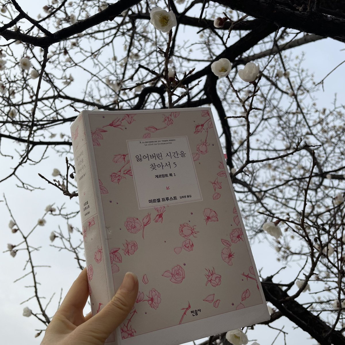 akffl's tweet photo. “우리는 병에 걸려서야 비로소, 우리가 혼자 사는 게 아니라 다른 세계의 존재에 묶여 있으며, 어떤 심연이 우리를 그 존재로부터 갈라놓아 그 존재는 우리를 알지 못하고, 우리도 그 존재에게 자신을 이해시킬 수 없다는 사실을 깨닫는데, 이 존재가 바로 우리 몸이다.” https://t.co/J324MOYJ7j