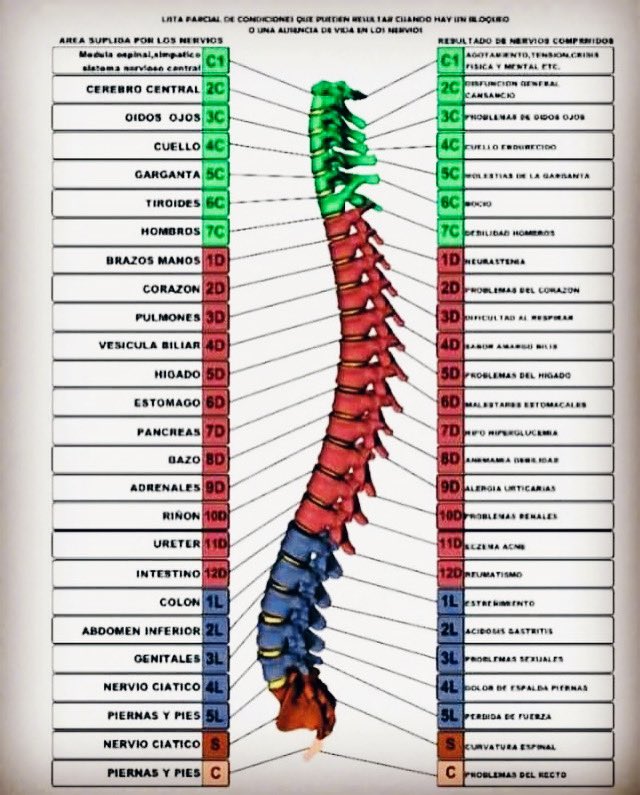 vcalderonosteo's tweet photo. Cuida tu columna. ☺️
¡Pon un osteópata en tu vida!🤔🤔💆🏼♂️💆🏻♀️
Consulta de Osteopatía: Murcia, Málaga, Marbella, Madrid 🗓️
#andrewtaylorstill #osteópata #osteopatamurcia #osteopatía #PonUnOsteópataEnTuVida #violafrymann #osteopatamarbella #osteopatamadrid #osteopatamalaga https://t.co/upTcOLaRNZ