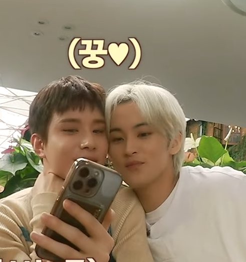 세상에 의미없는 자막은 없다