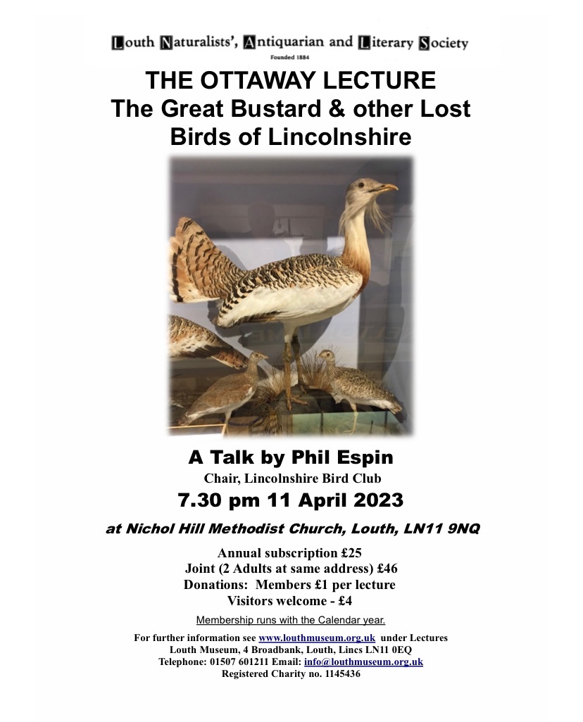 This weeks lecture is about the Great Bustard and other lost birds of Lincolnshire. The talk will be given by Phil who is a bird fanatic and is chair of the Lincolnshire Bird Club.  #louth #lincolnshire #visitlincolnshirewolds