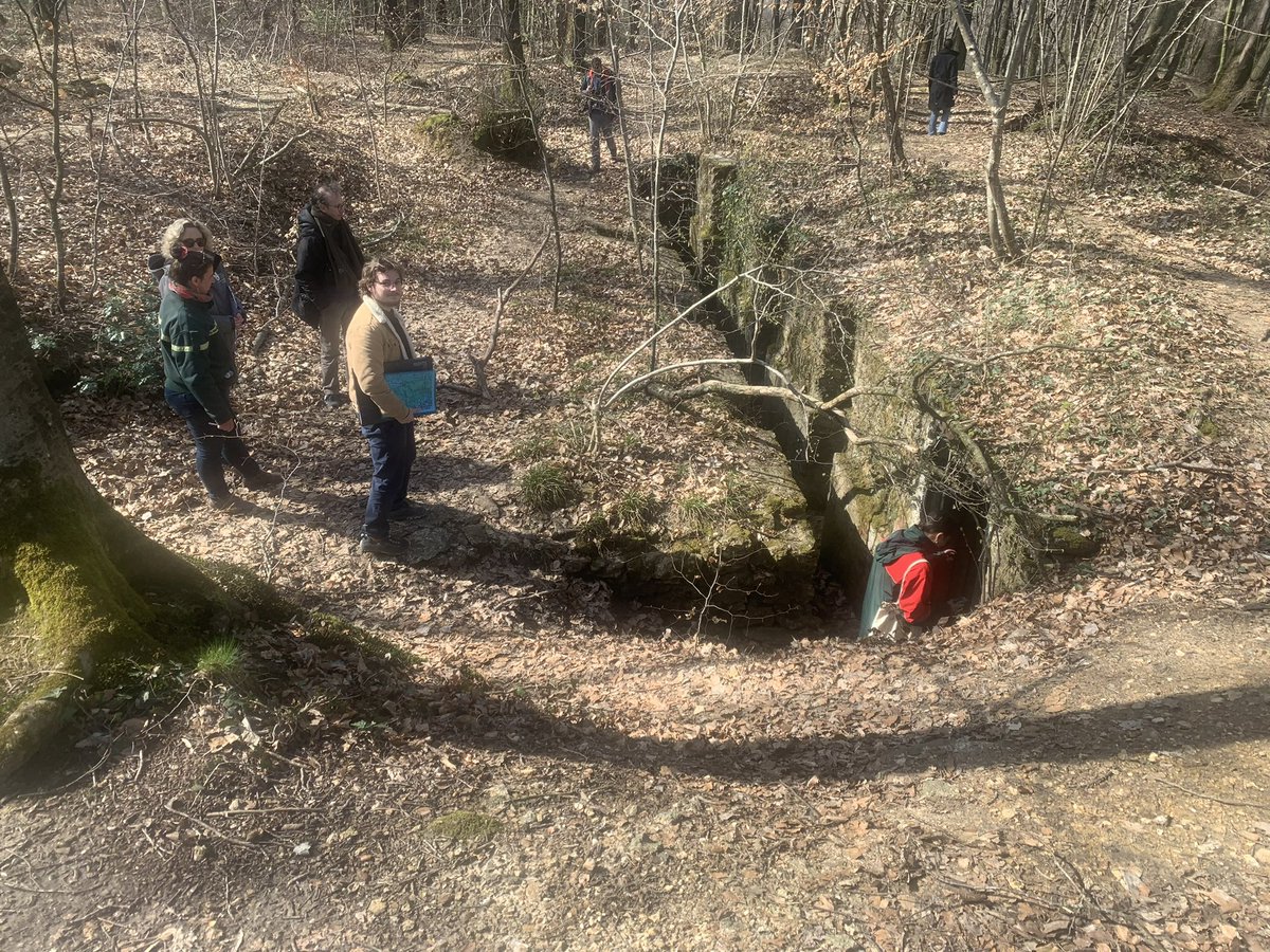 Lejeuneolivie14's tweet photo. Préparation de la sortie multi partenariales dans le cadre des actions #fodex forêt d’exemption avec @ONF_Officiel @pnr Montagne de Reims @ComGegenaa en forêt de Verzy https://t.co/AiWY5H9bML