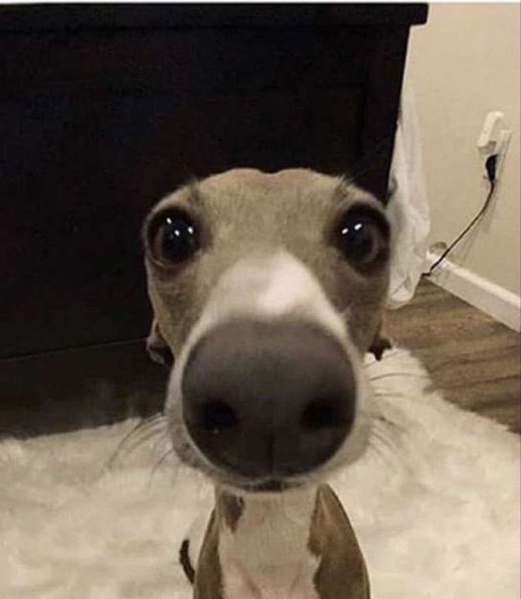 Christopher//en hiatus (@cyberbu11ed_) on Twitter photo 