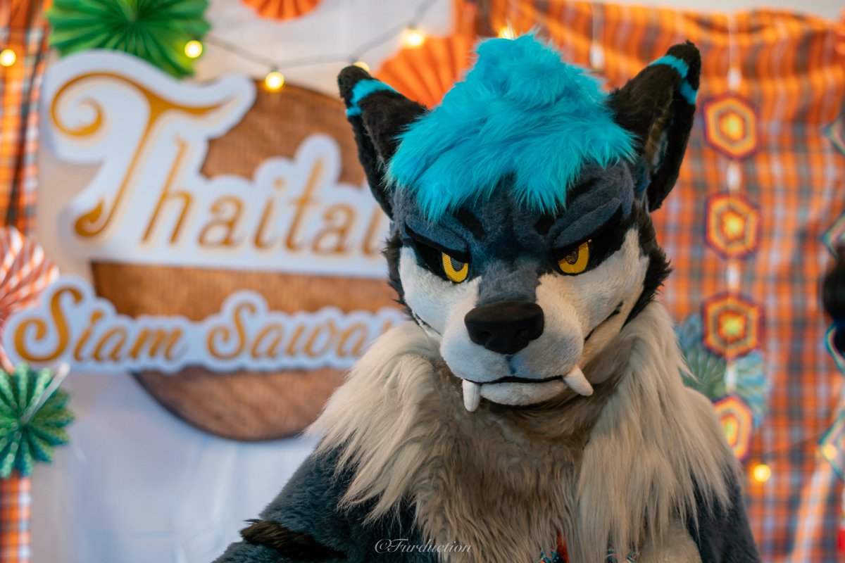 angry boiss 😠😠
📸: @Mitailsu 
#thaitails2023 #fursuiteveryday