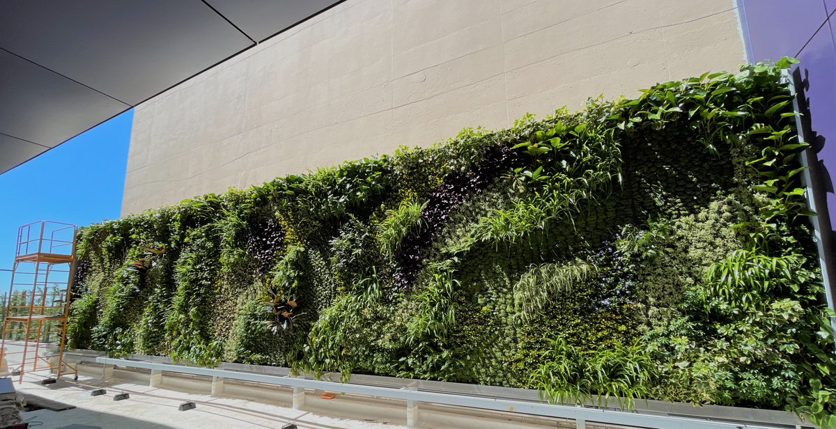 SkanskaUSA's tweet photo. Our 9000 Wilshire project is featured on @BusinessInsider's list of the coolest offices in North America! https://t.co/lilxfinUqo

#LosAngeles #Workspaces #Skanska #ShapingOurFuture https://t.co/OGt475QJSl