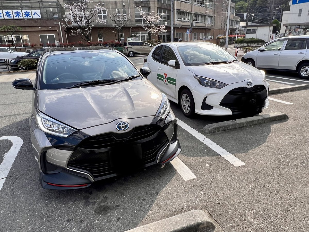 つい撮ってしまった