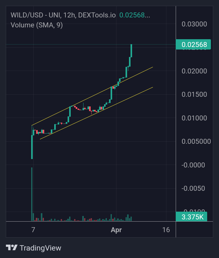 Gem_Sheriff's tweet photo. ⭐️The fastest Gem Token in the $Wild west continues to rise.💸
🤚🏻Are the cowboys here? Make a sound!💥
#Wild #WildArmy @TheWildWestWILD https://t.co/UgNPNcriXw