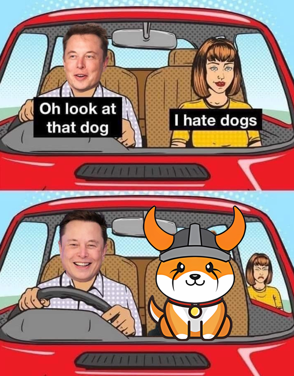 Musk love babyfloki

floki is musk's pet dog