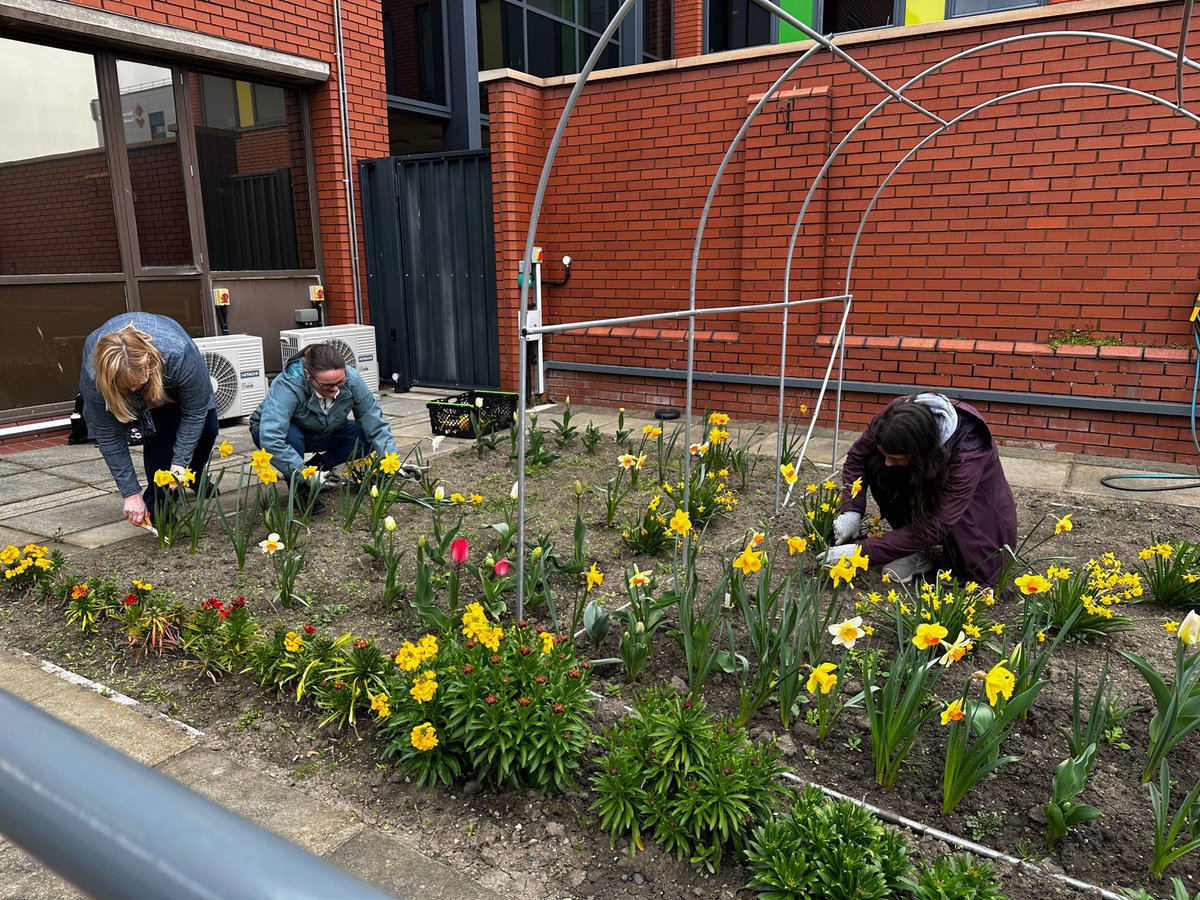 University of Sunderland Occupational Therapy tweet media