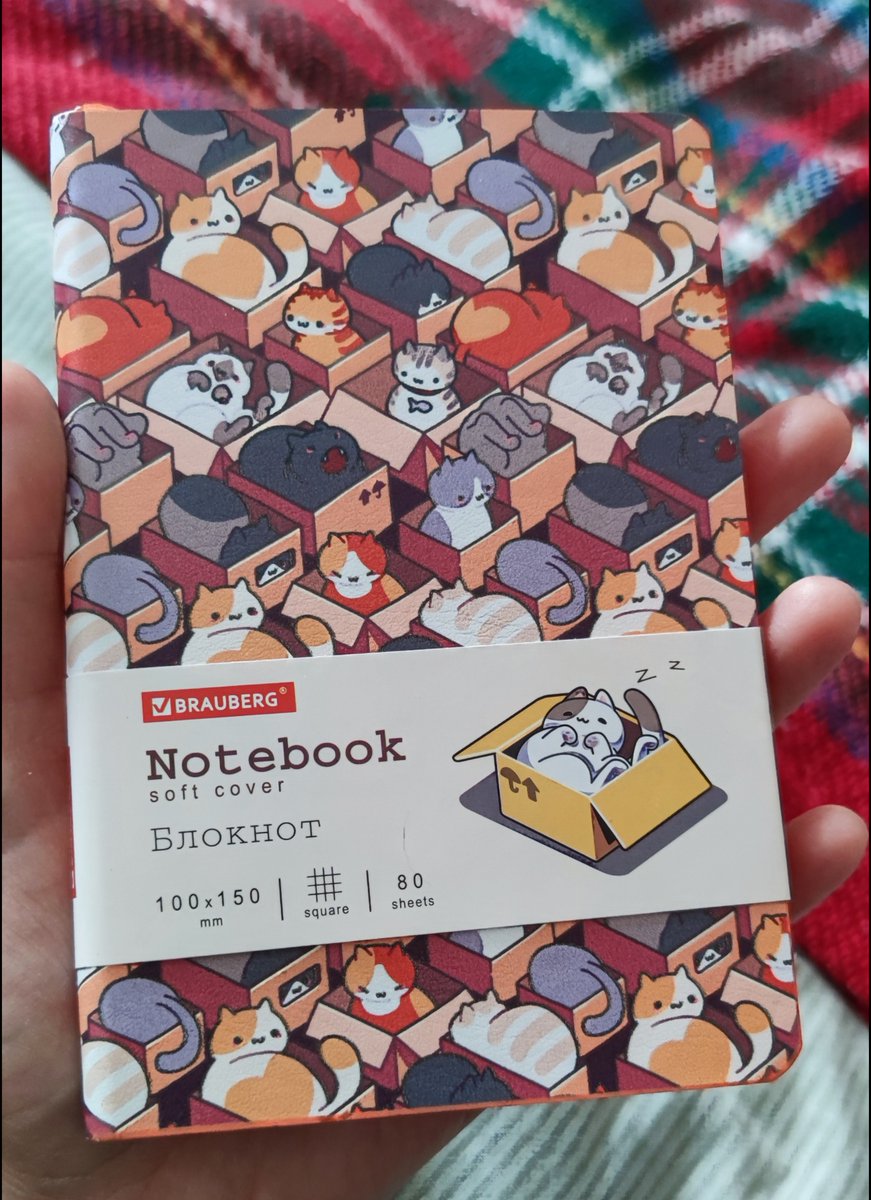 Kit (Ryu) 🐅 tweet media