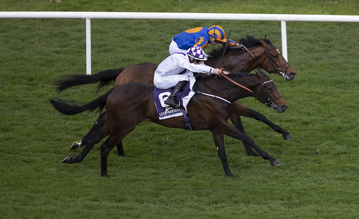 Leopardstown RC tweet media