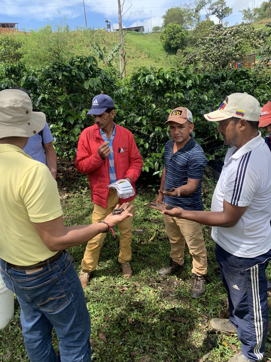 AgtechParaTodos's tweet photo. Esta semana se entregaron los resultados de la tecnología desarrollada a los productores de la vereda San Antonio y los Cerrillos en el Cauca, Colombia.
Además se les capacitó en: 
✅ Texturas de suelo y cómo identificarlas.
✅ Uso del sensor. 
✅ Práctica de Manejo de humedad. https://t.co/BCZrIgDzjj