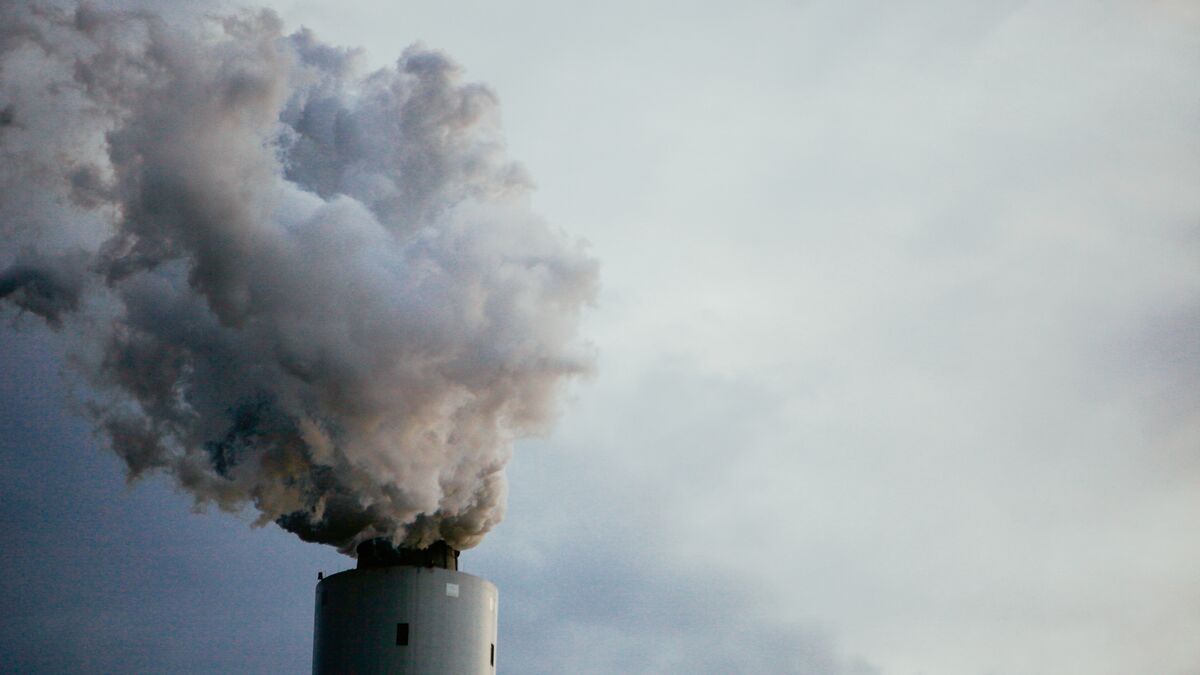 Earthjustice tweet media