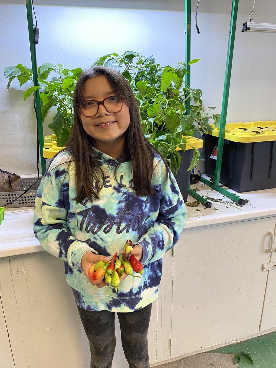 meghan8899's tweet photo. Picked some peppers just in time for Easter break! @SucSeedCanada https://t.co/TRV5KJ1sil