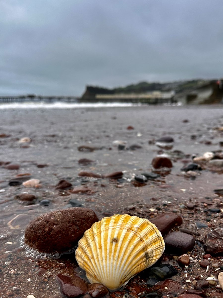 BlithSpirit's tweet photo. Don't run away from the storm, try your best to rise above, and sooner or later there will be sunshine @PiersSociety @Teignbridge @teignnews @VisitDevon @TeignmouthLove @TeignTourism @TeignmouthPier @DevonLife @TeignHeritage @ClubTeignmouth https://t.co/irlb798fCX