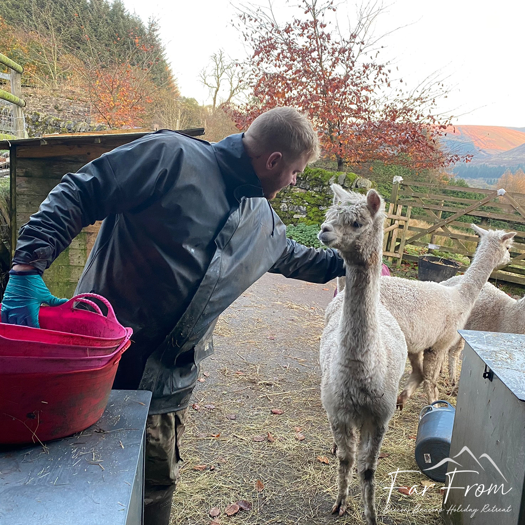 Far From - Brecon Beacons Holiday Retreat tweet media