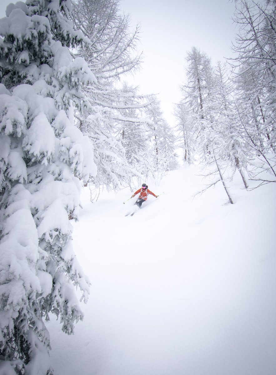 Ember (@emberhome) on Twitter photo How's the weather this week in some of our Ember locations? Well, Newport Beach is sunny and high 60's, St. George will get to the 80's later in the week, and Park City is buried 700 feet under snow. 🧐😎🏄♀️⛷ Where sounds good to you?
#vacationhome #emberhome #beachorski How's the weather this week in some of our Ember locations? Well, Newport Beach is sunny and high 60's, St. George will get to the 80's later in the week, and Park City is buried 700 feet under snow. 🧐😎🏄♀️⛷ Where sounds good to you?
#vacationhome #emberhome #beachorski