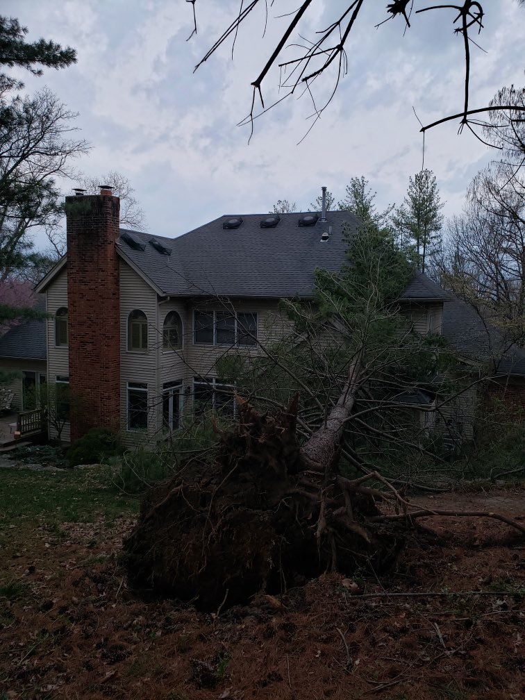 Skibbe Wiffleball League tweet media