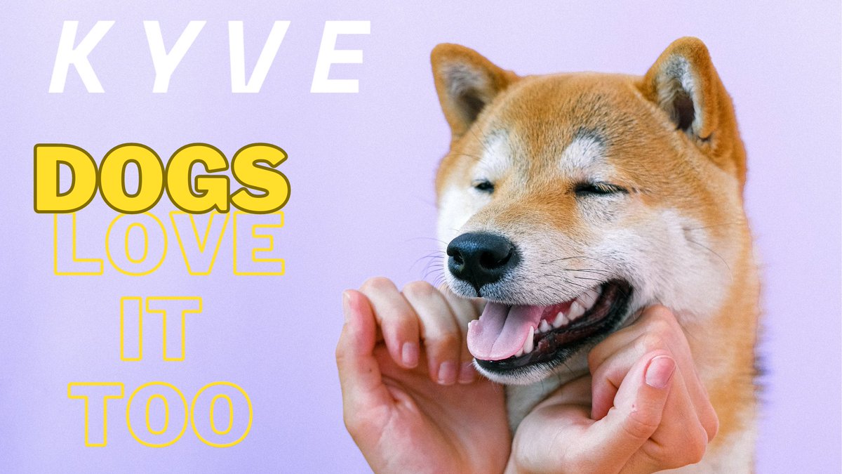Do you like dogs? 
<a href="/KYVENetwork/">KYVE 💫</a>