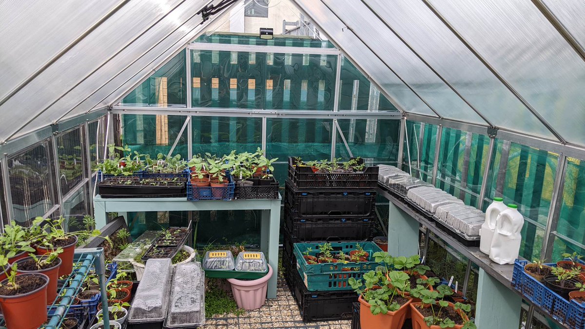Hope Garden (@htthopegarden) on Twitter photo Well done to those who attended today's gardening group at the @HTTHopegarden. The Clematis looks great in the new raised bed. Hanging baskets are planted up and the greenhouse is getting busy with projects. <a href="/DianeBa64157920/">Diane Ball</a> <a href="/elft_ppl/">ELFT-Participation</a> <a href="/NHS_ELFT/">East London NHS Foundation Trust (ELFT)</a> <a href="/Bailey_NHS/">Bailey Mitchell ๐</a> <a href="/ELFT_Therapies/">ELFT_Therapies</a> Well done to those who attended today's gardening group at the @HTTHopegarden. The Clematis looks great in the new raised bed. Hanging baskets are planted up and the greenhouse is getting busy with projects. <a href="/DianeBa64157920/">Diane Ball</a> <a href="/elft_ppl/">ELFT-Participation</a> <a href="/NHS_ELFT/">East London NHS Foundation Trust (ELFT)</a> <a href="/Bailey_NHS/">Bailey Mitchell ๐</a> <a href="/ELFT_Therapies/">ELFT_Therapies</a>