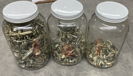 Virginia Beach Police Department tweet media