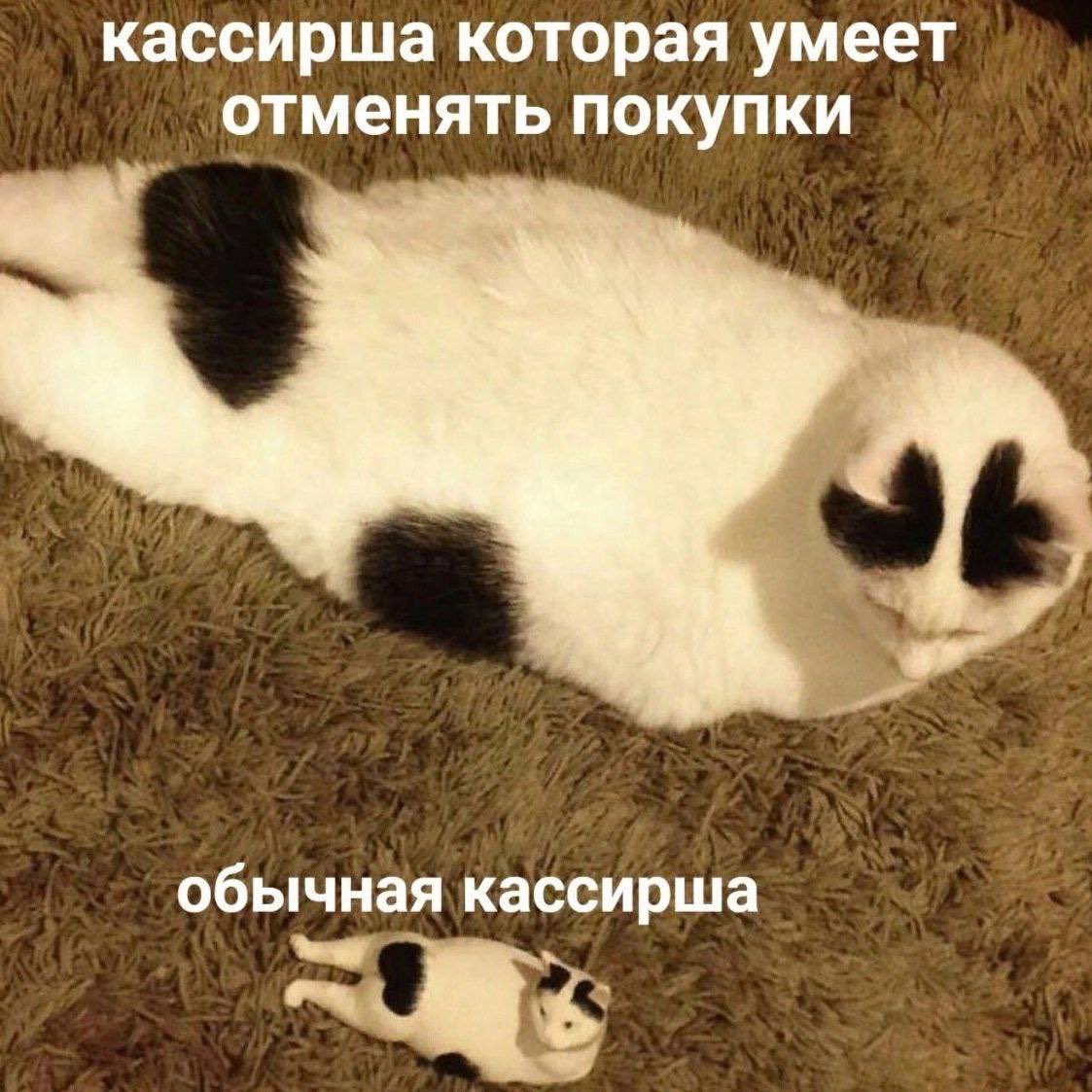 скиньте мемы в реплаи