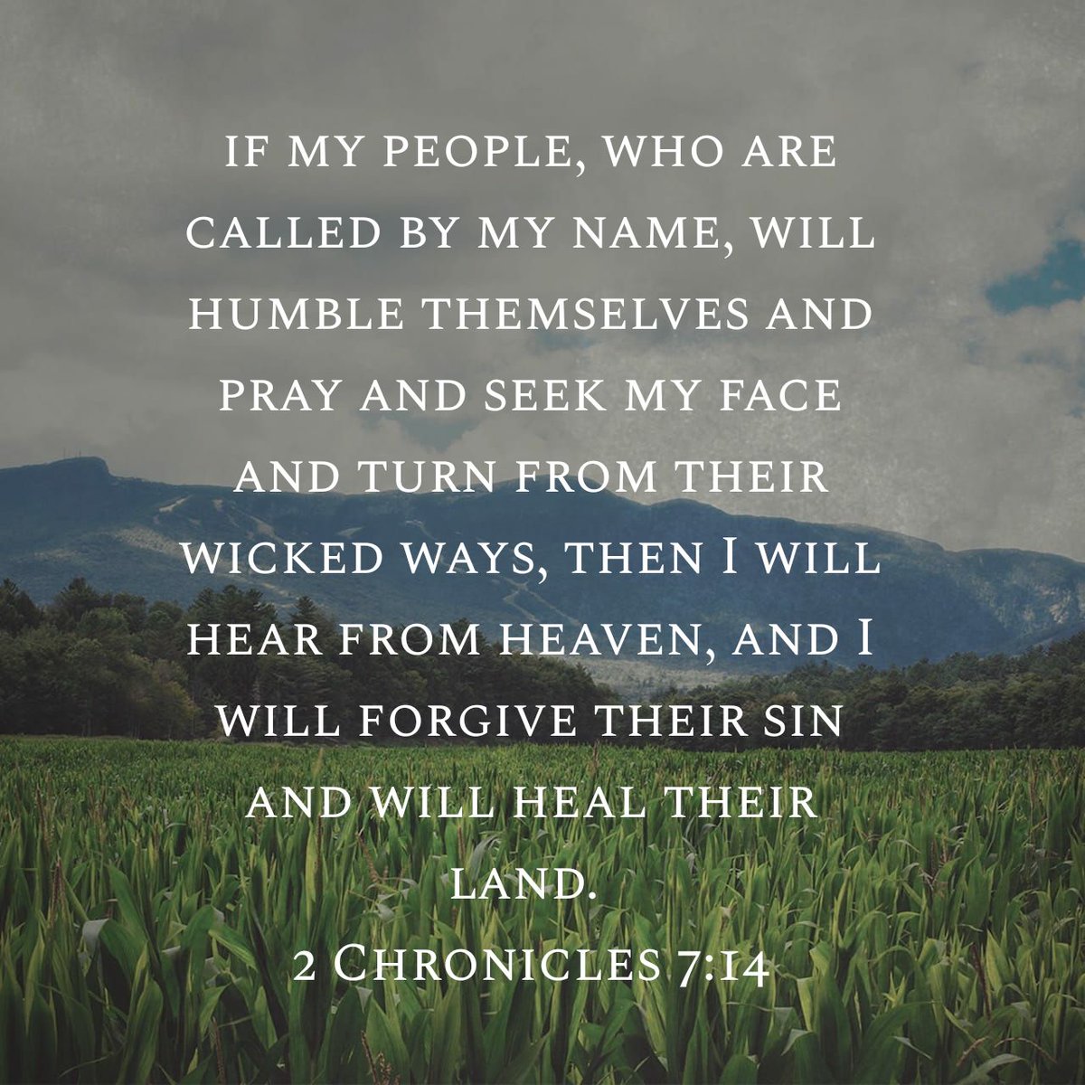 Sam Joslin tweet media