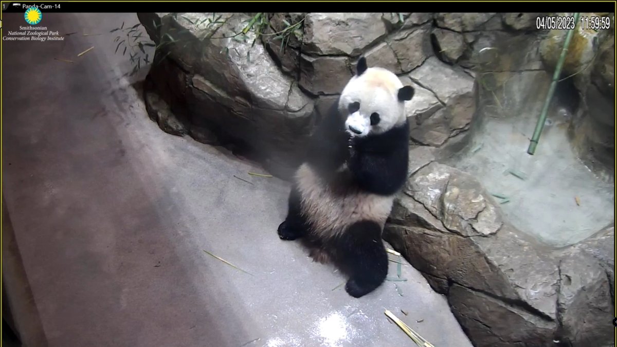 Jeffrius's tweet image. Stand up if you love fruities!